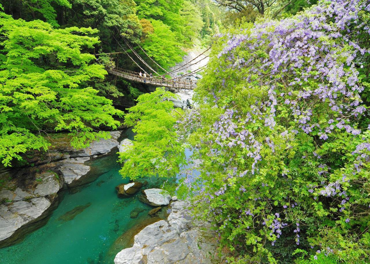 Iyanokazura Bridge