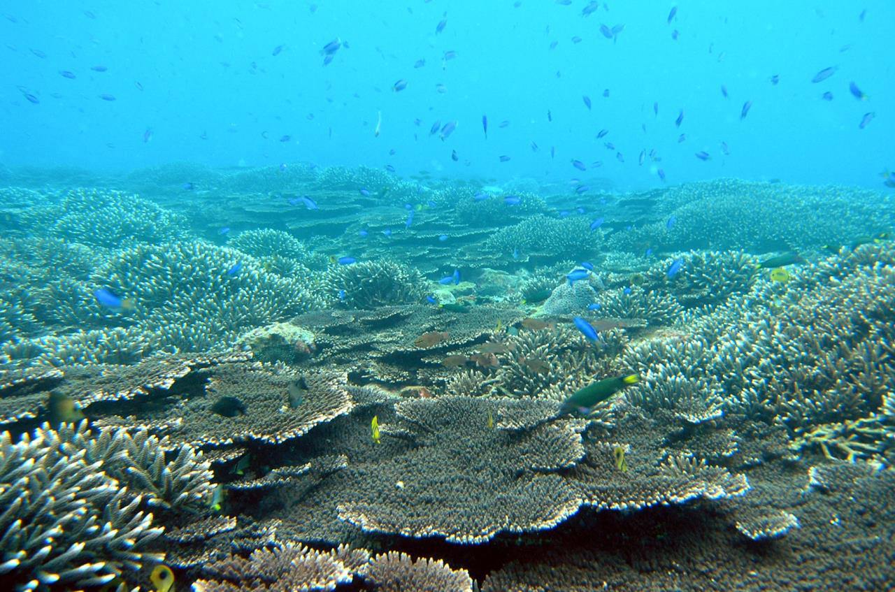 Kushimoto Marine Park