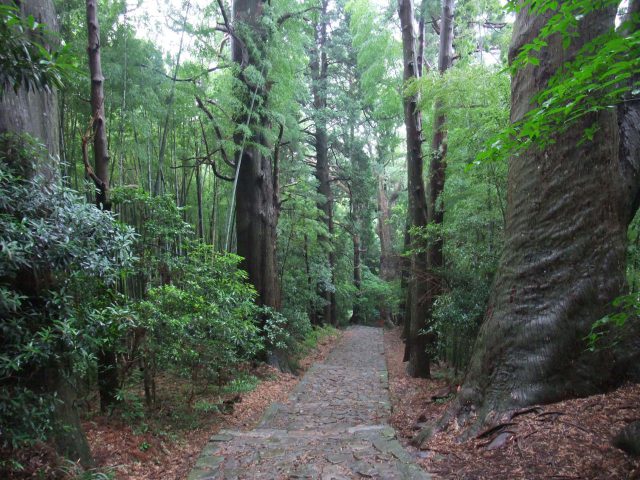 Exploring Mt. Nachi and the Daimonzaka Slope dressed in costumes of the Heian era