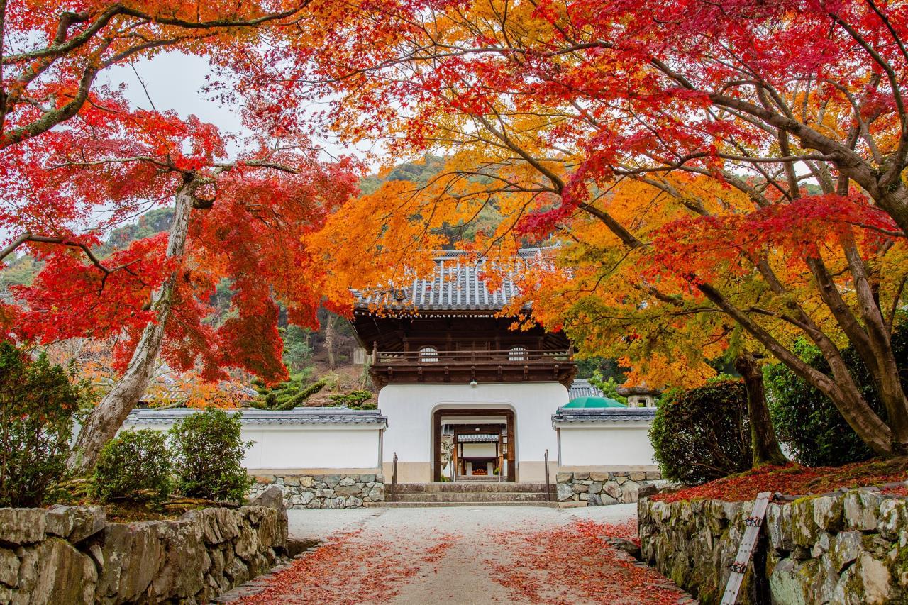 Kosho-ji Temple