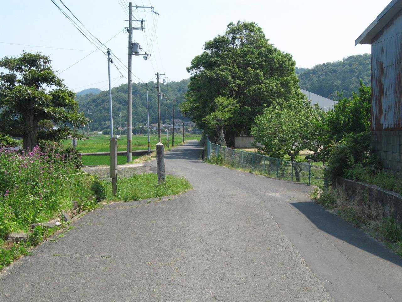 Gomura斷層（樋口/小池/生之內）