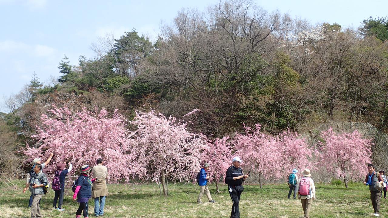 Myoken-no-mori Hiking