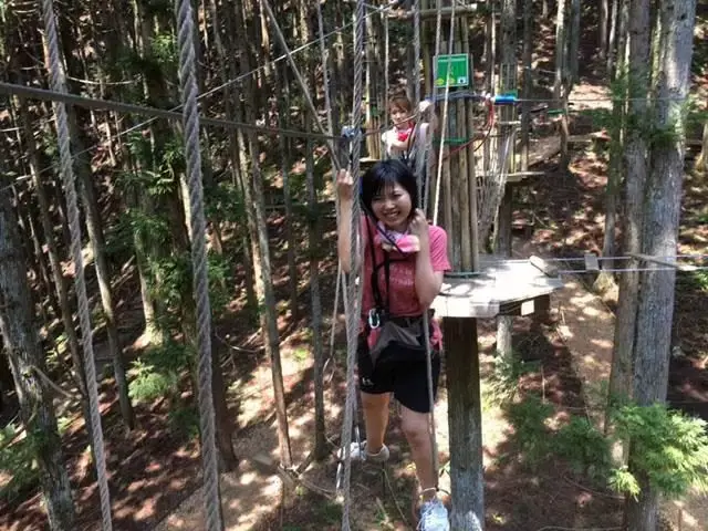 Forest adventure Asago