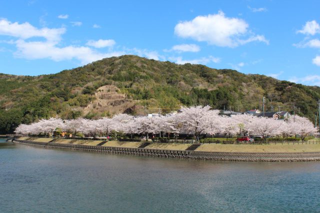 片上池公園