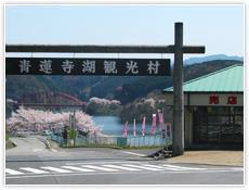 青蓮寺湖観光村