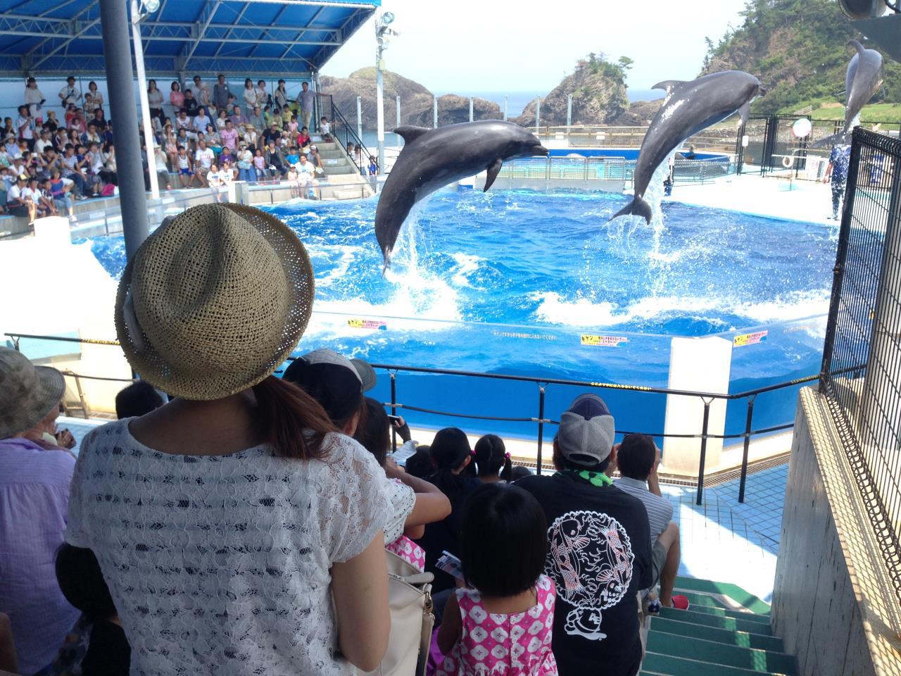 Echizen Matsushima Aquarium