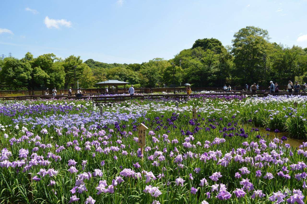 山大池公園