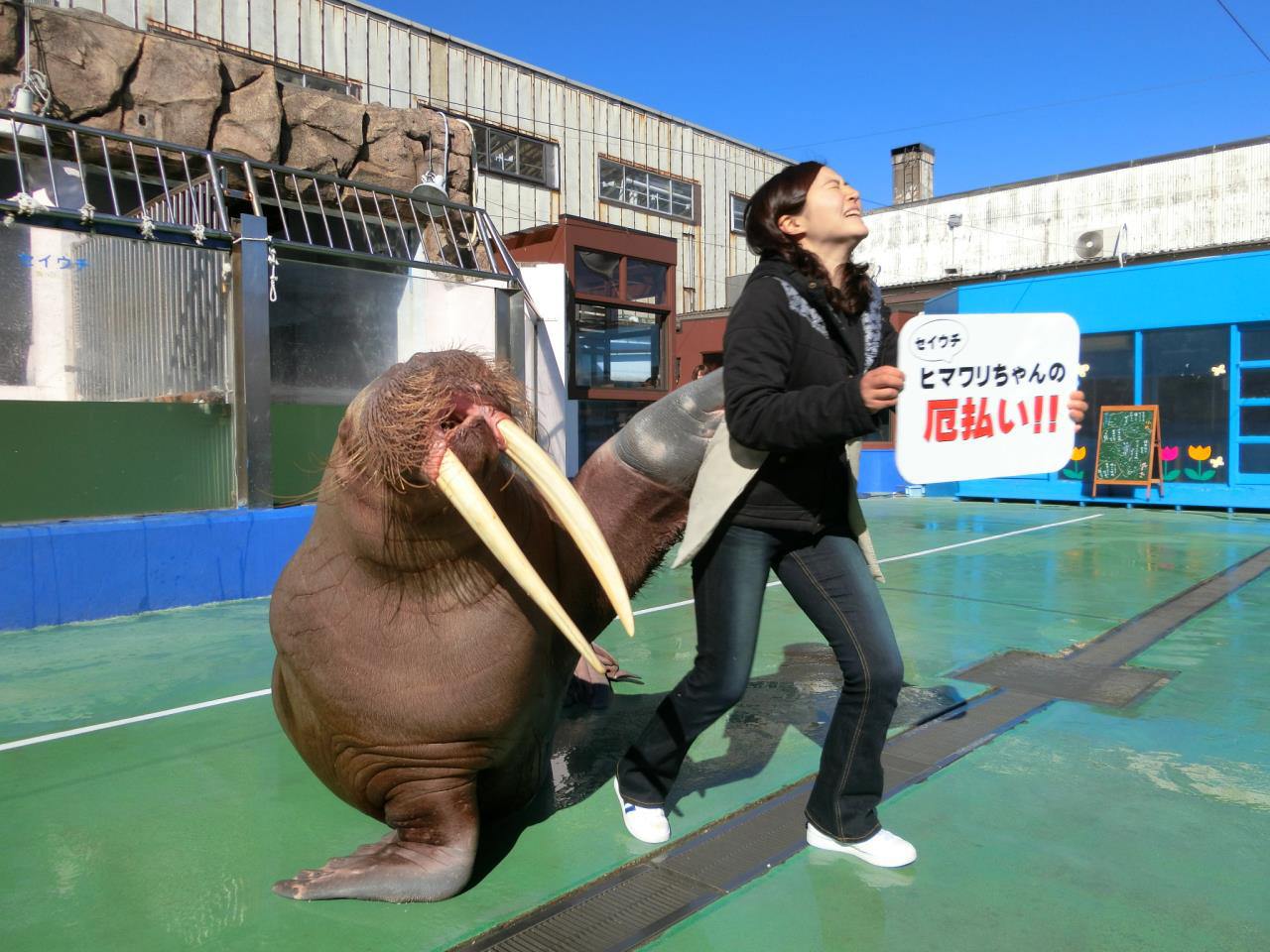 伊勢夫婦岩ふれあい水族館 伊勢シーパラダイス