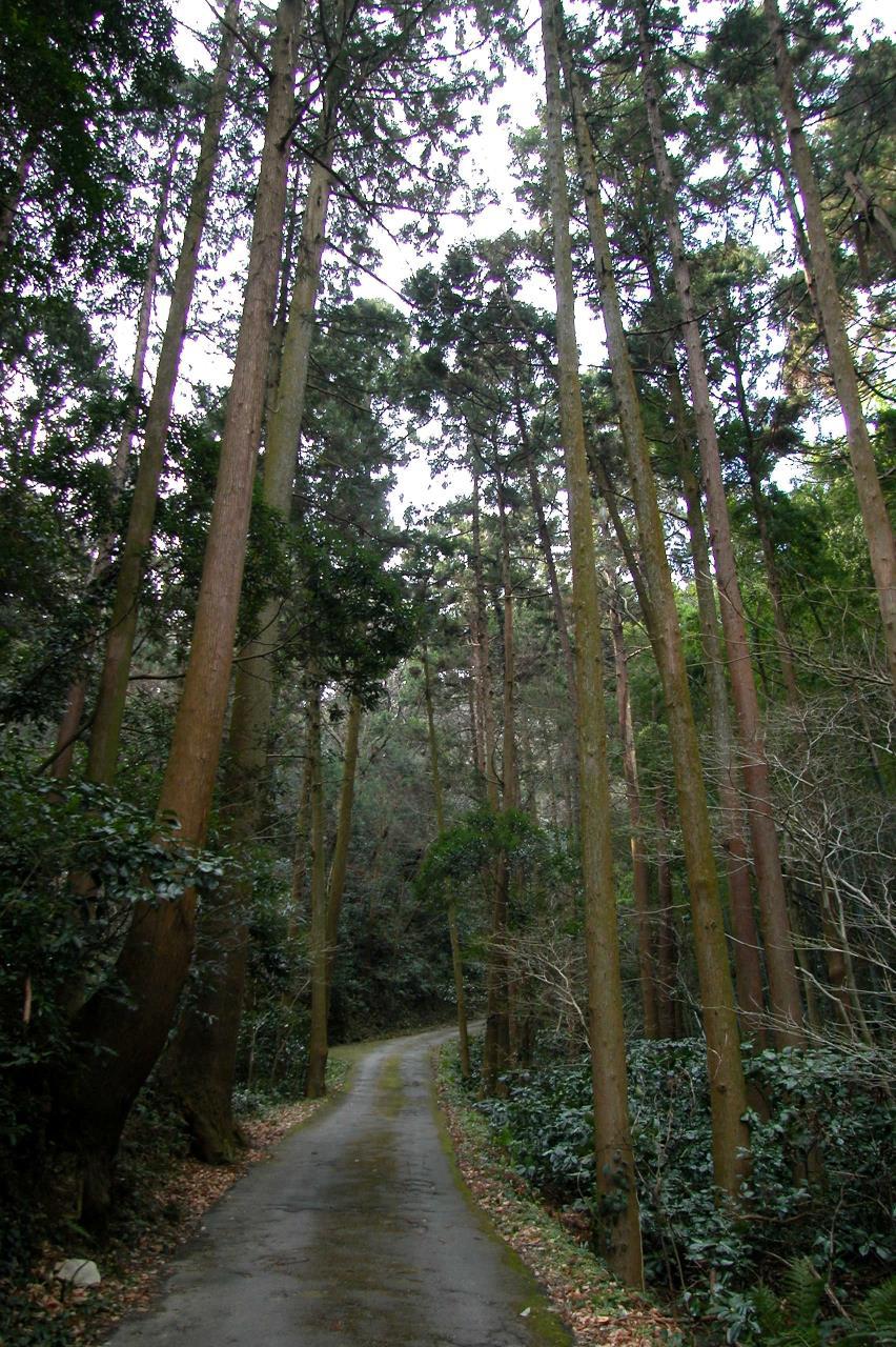 日和山