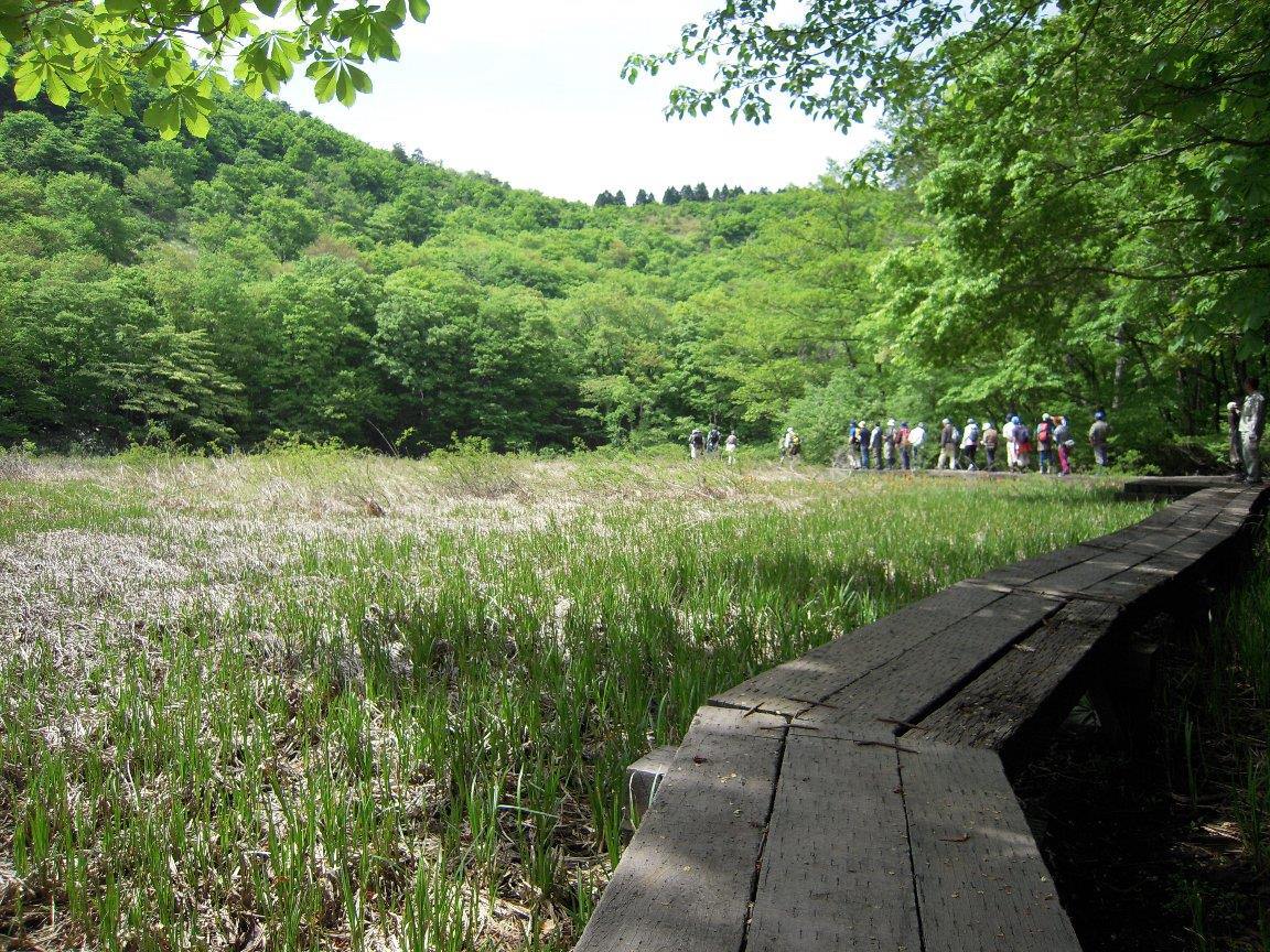 Onuma Wetland