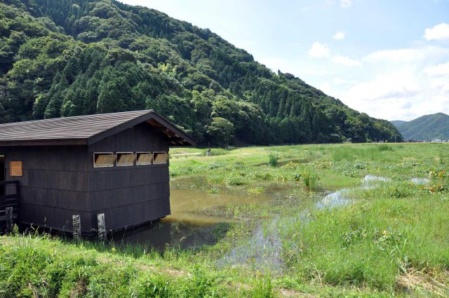 豐島沼澤