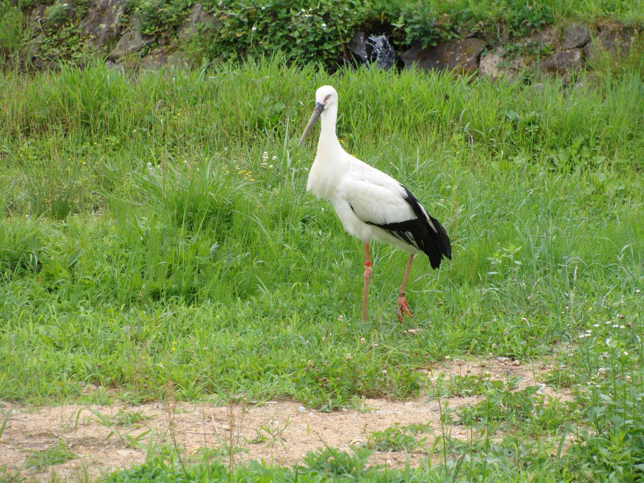 兵庫縣立鸛村公園