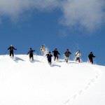 Snowshoes (Mikata Highland Nature House, City of Amagasaki)