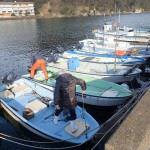 Boat Fishing, Ferry, Pleasure Cruise