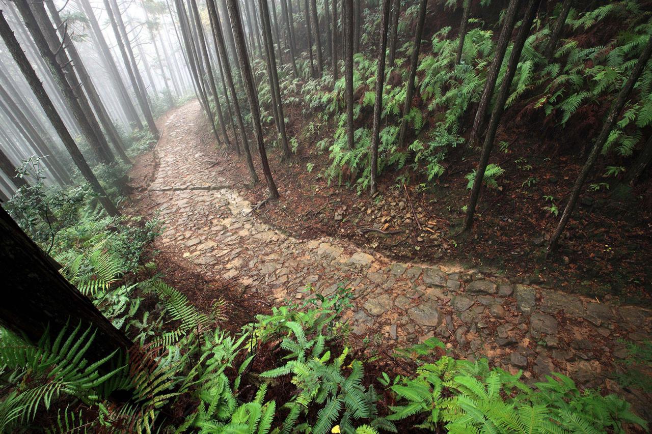 世界遺産「熊野」の旅を総合的にサポート -田辺市熊野ツーリズムビューロー