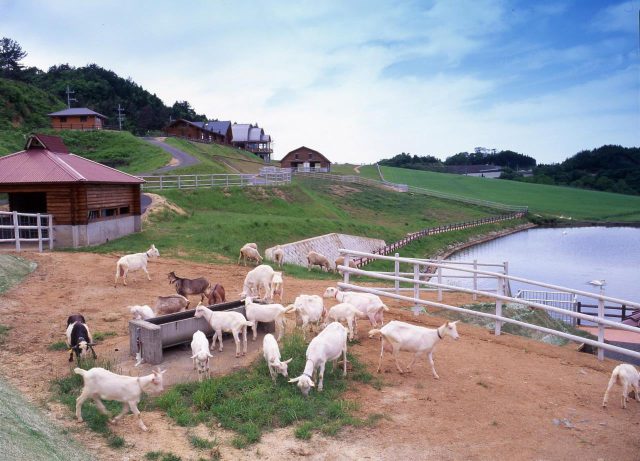 碇高原