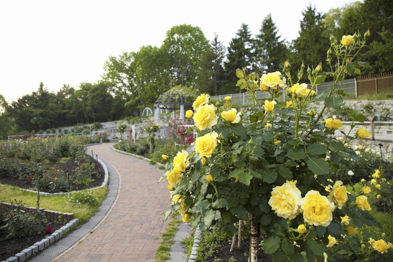 Tsurumi Ryokuchi Park