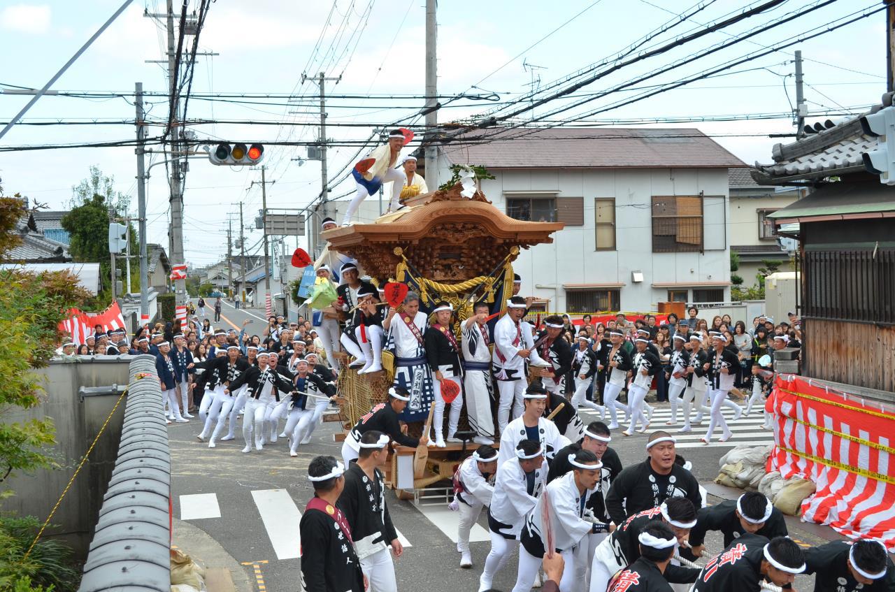 岸和田花车祭（十月祭）