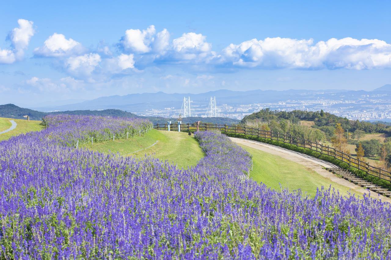 淡路島まつり