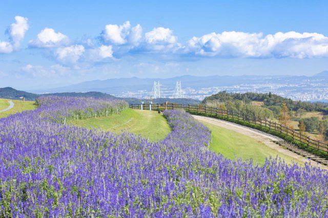 淡路島まつり
