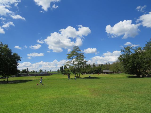 【芝生広場】日本の風土（棚田）をイメージして設計されました。