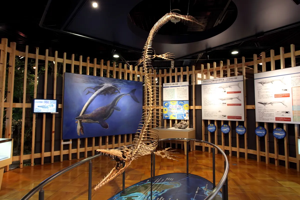 Natural History Museum, Kishiwada City