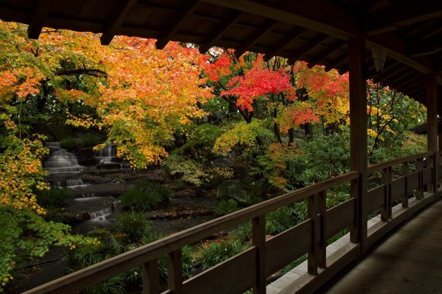 御屋敷の庭