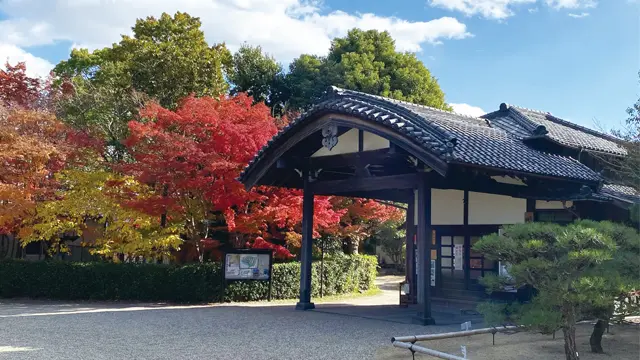 柳沢文庫