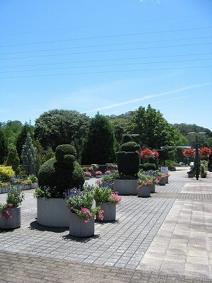 駐車場と植物公園を結ぶフラワーブリッジ（陸橋）