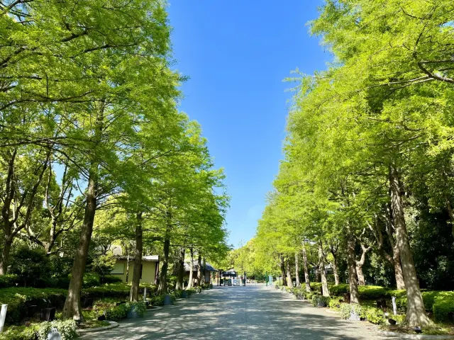 大阪市立長居植物園