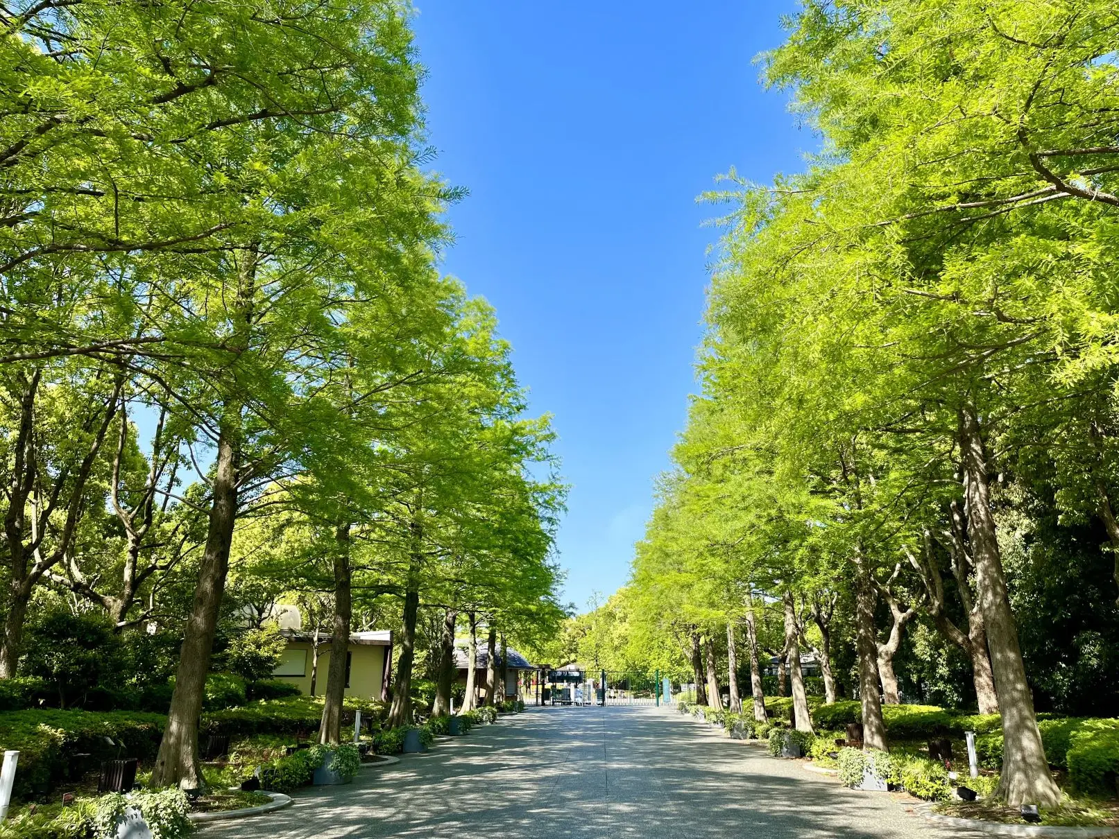 大阪市立長居植物園