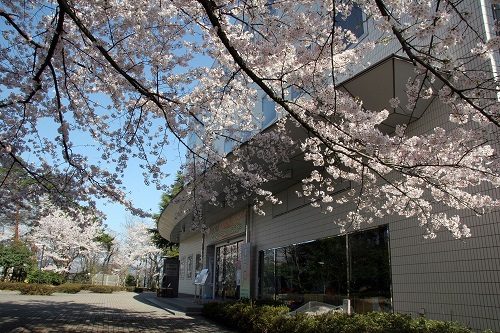 福井市自然史博物館