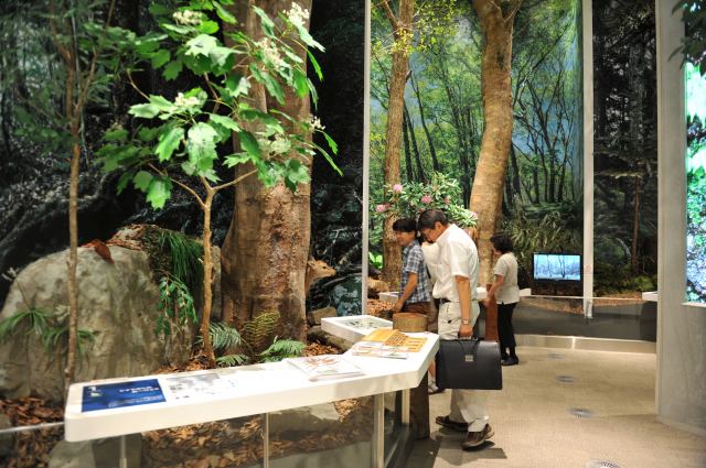 基本展示室