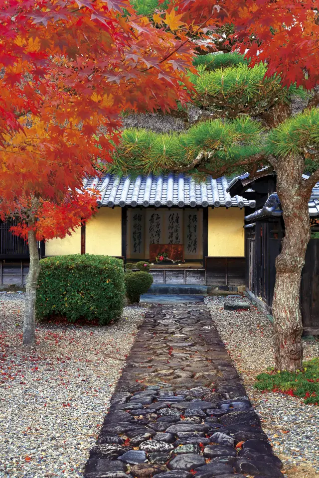 秋の永井家庄屋屋敷。真っ赤に色づいたもみじを楽しむことができる。