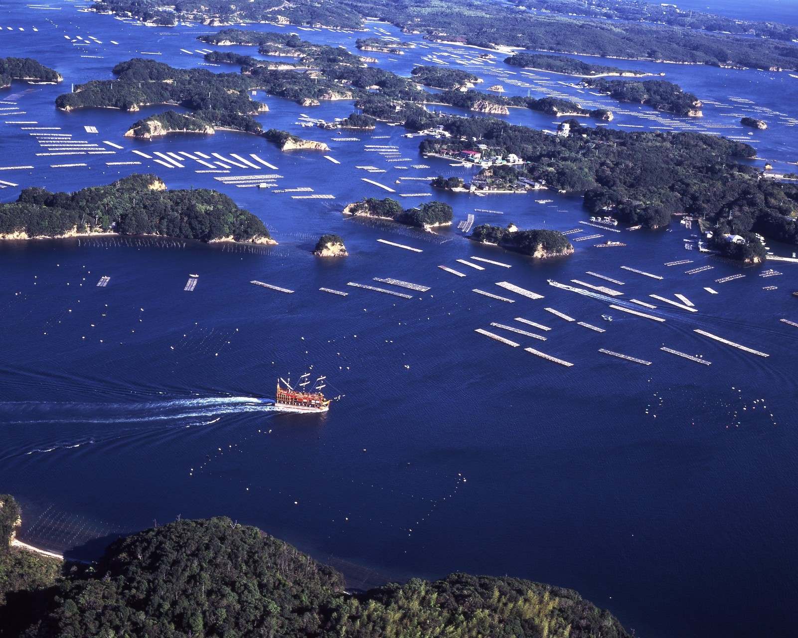 賢島エスパーニャクルーズ（あご湾遊覧）