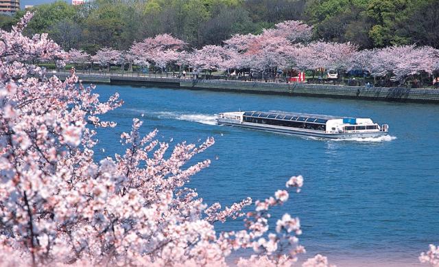 春。桜並木の中を走るアクアライナー