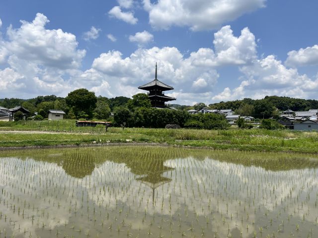 Water reflection
(ｃ)Hokiji