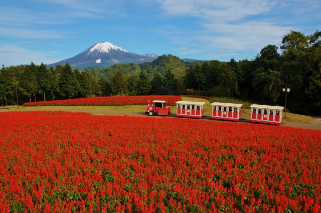 TottoriHanakairoFlowerPark