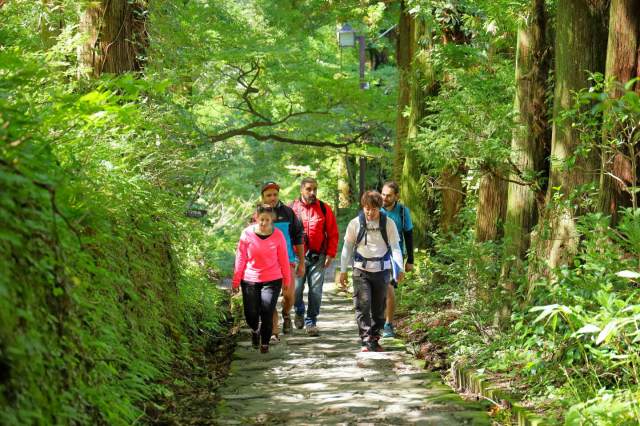 自然に囲まれた参道
一般社団法人　大山観光局