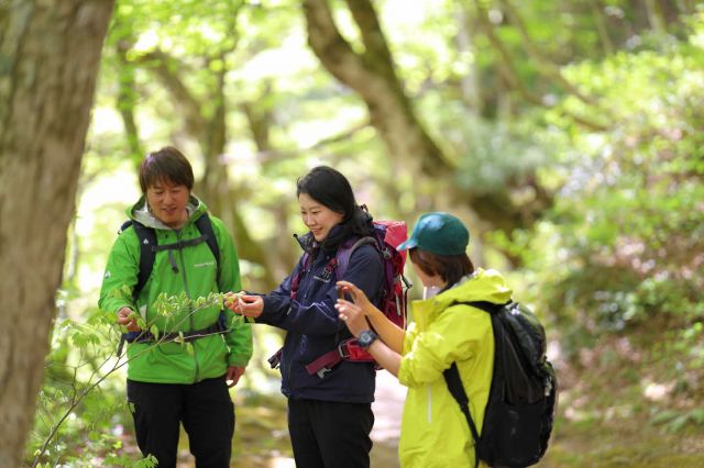 ガイドによる説明でより深く楽しめます
一般社団法人　大山観光局