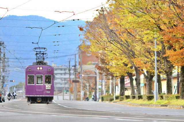 紅葉と嵐電
（C）京福電気鉄道