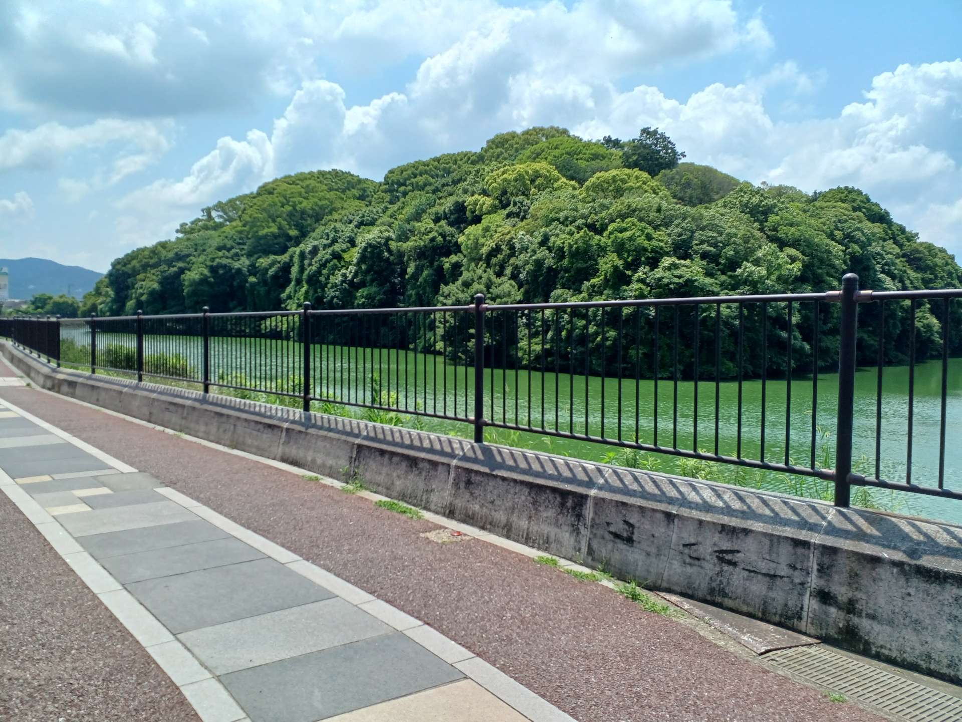 ～まち歩きガイドとめぐる～ 世界遺産「古市古墳群」と日本遺産「竹内街道」を巡る（御陵印押印体験）