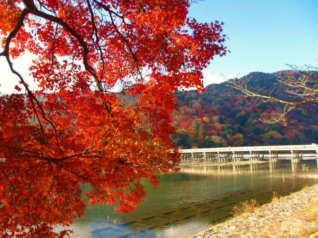 Arashiyama・Togetsukyo Bridge (Fall)