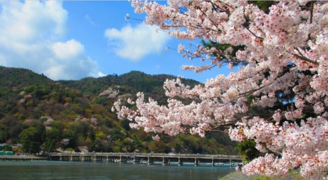 嵐山・渡月橋（春）