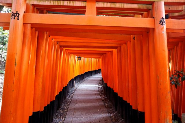 Fushimi Inari Taisha