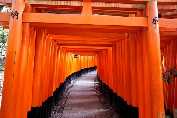 京都一日～天龍寺と竹林嵐山・金閣寺・伏見稲荷大社～