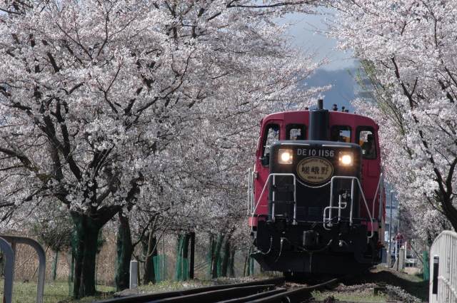 Sagano Romantic Train [Sagano Torokko Ressha]