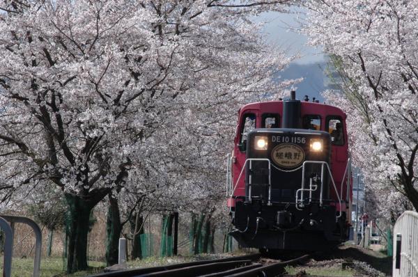 おこしバス 「トロッコ列車と保津川下り」