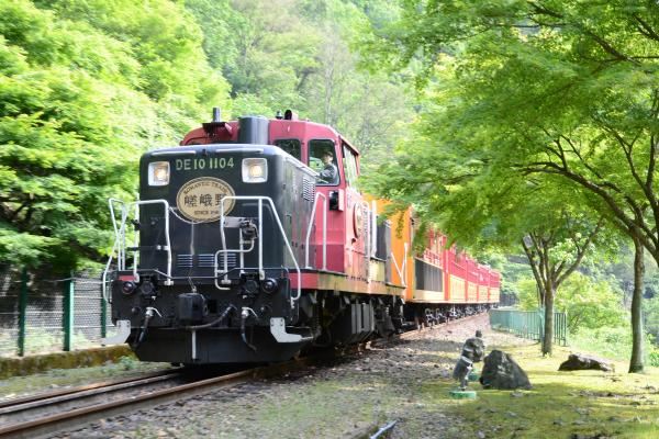 Sagano Romantic Train New Green