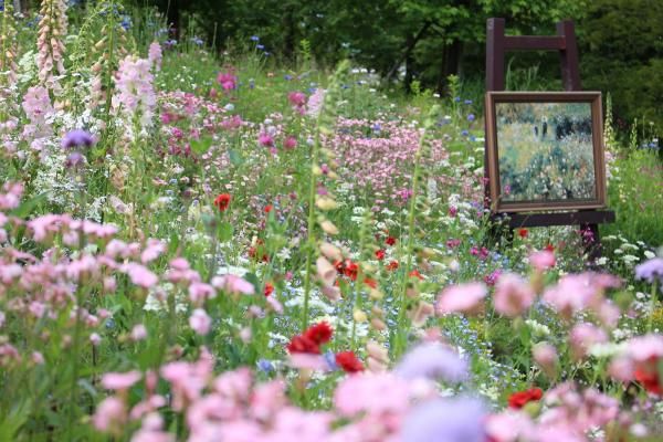 Garden Museum Hiei